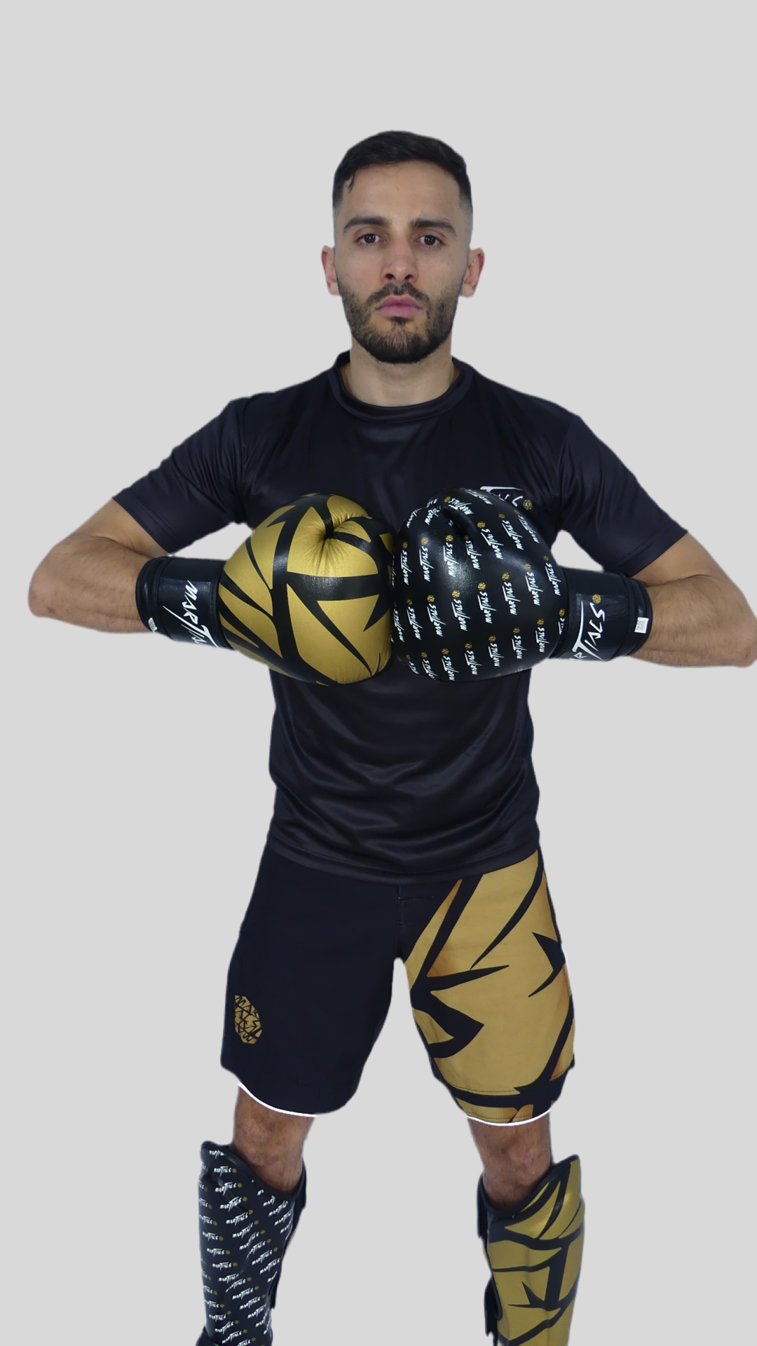 Gants de boxe