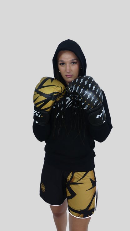 Gants de boxe